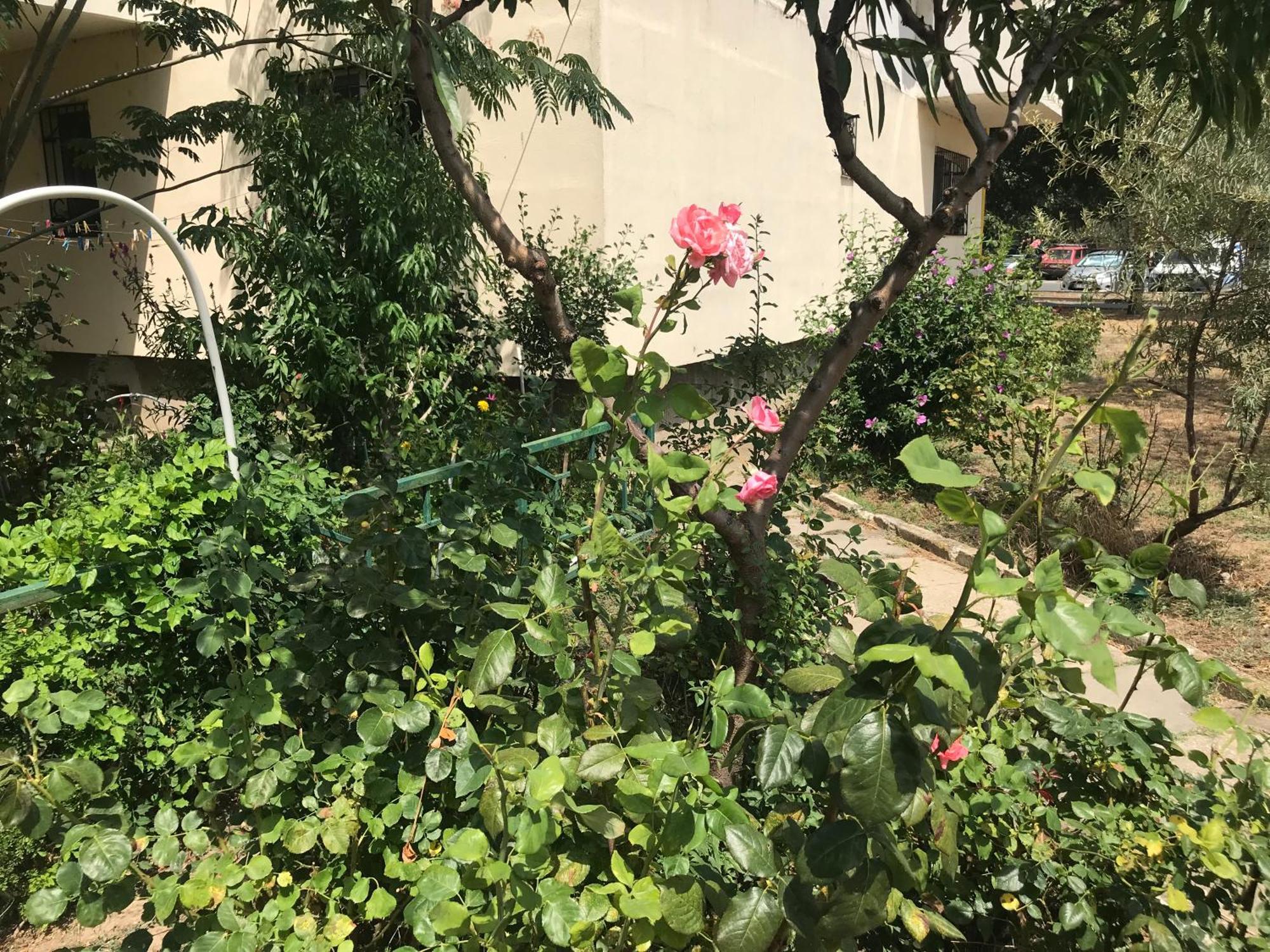 Apartament Langa Plaja Diana Mangalia Zewnętrze zdjęcie