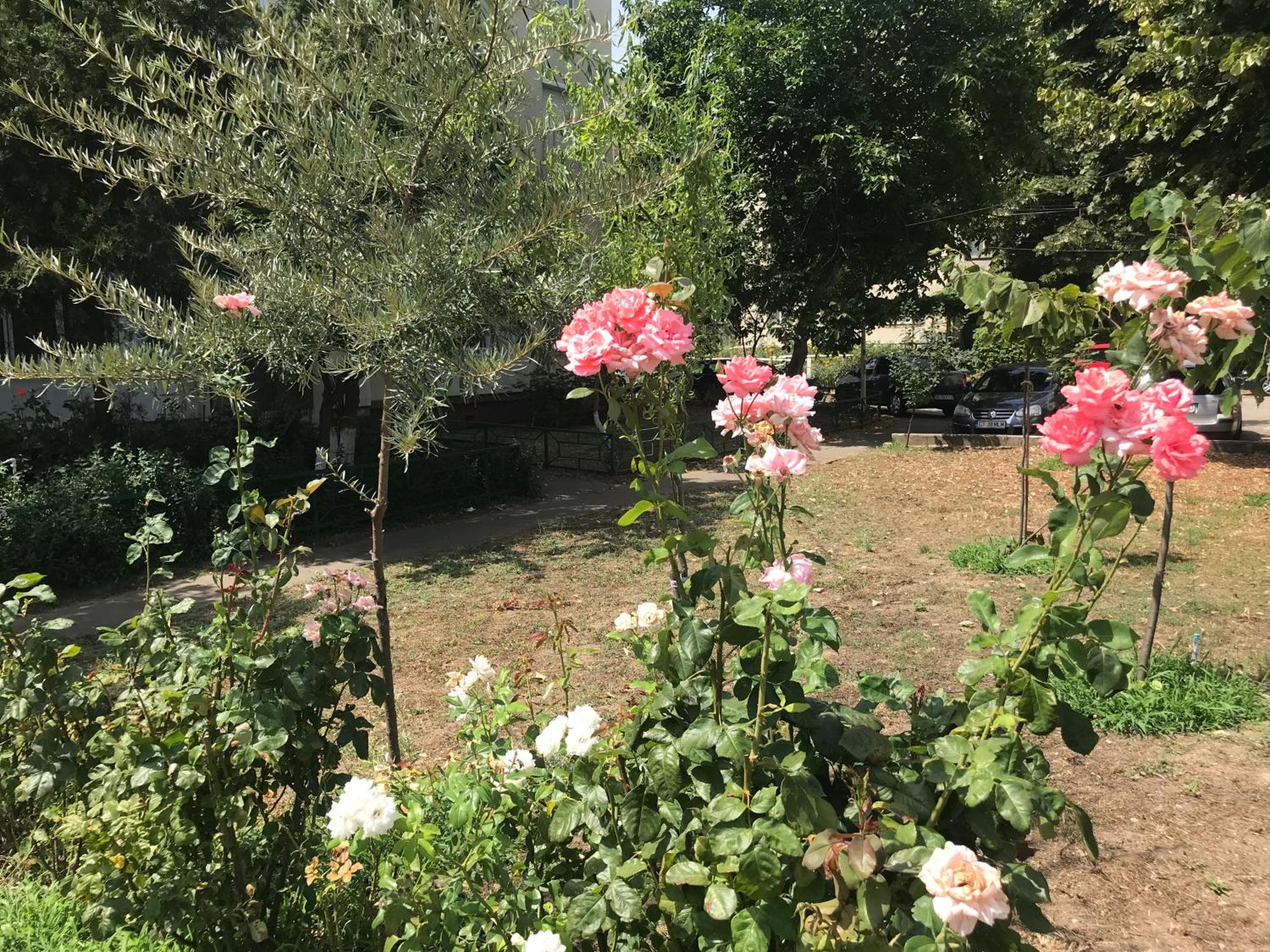 Apartament Langa Plaja Diana Mangalia Zewnętrze zdjęcie